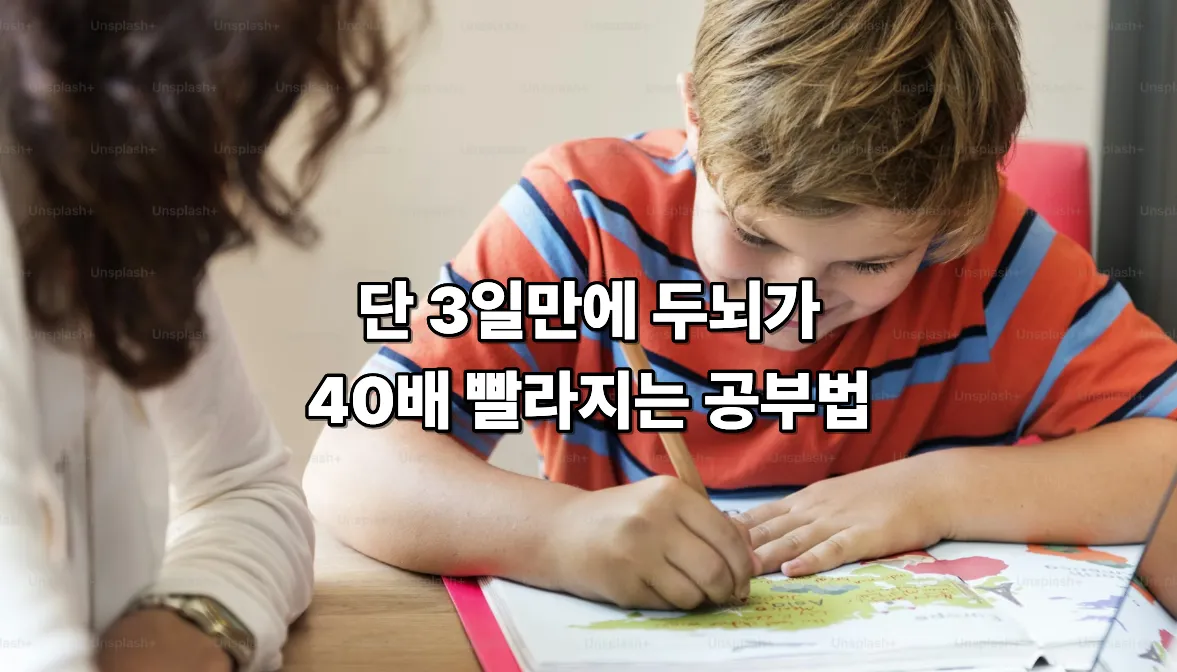 3일 만에 학습 효율 40배! 뇌과학이 증명한 공부법 5가지